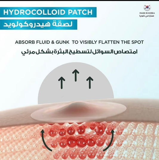 غارنييه لصقات غير المرئية لعلاج البثور - 22 لصقة