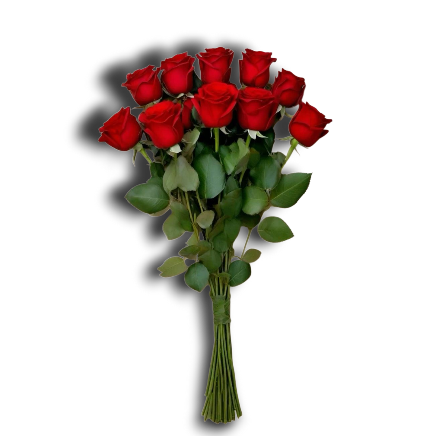 وينتر سكارف